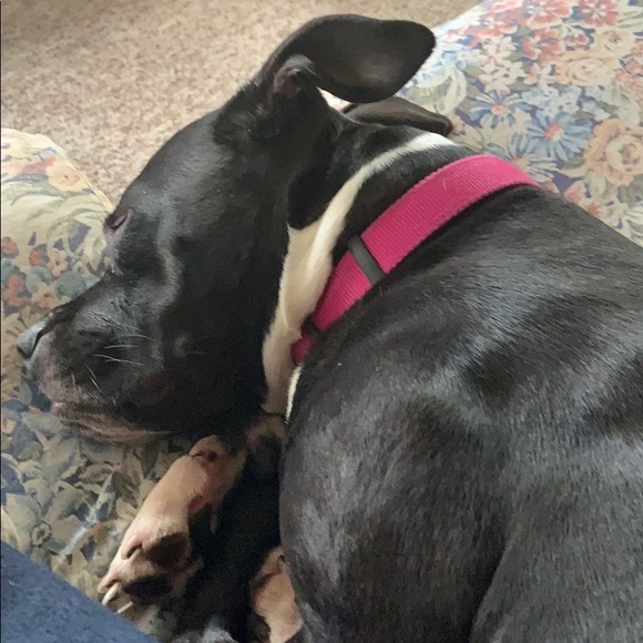 Meet your Posher, Jeremy - Picture 1 of 1